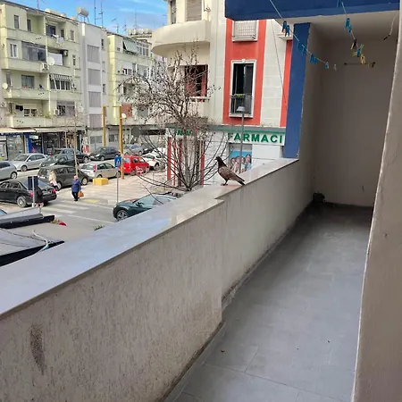 Offbeat Design Daire Dıraç